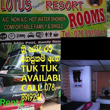 Lotus Inn Tourist Resort Dambulla Exterior foto