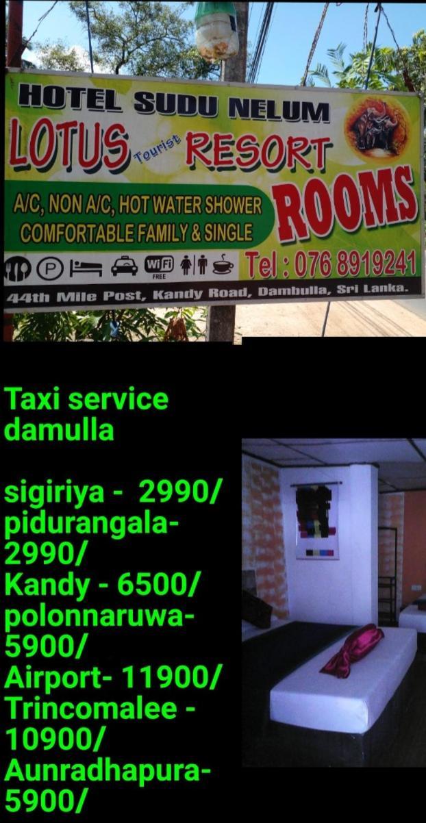 Lotus Inn Tourist Resort Dambulla Exterior foto