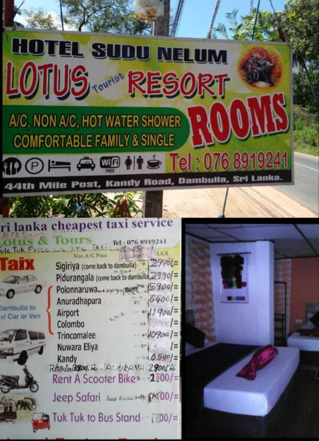 Lotus Inn Tourist Resort Dambulla Exterior foto